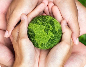 Cooleaf CSR and Employee Engagement